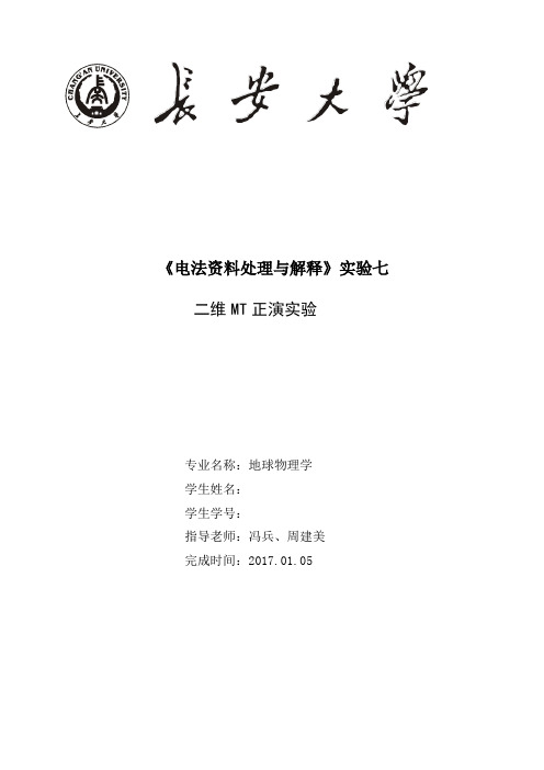 二维MT正演实验