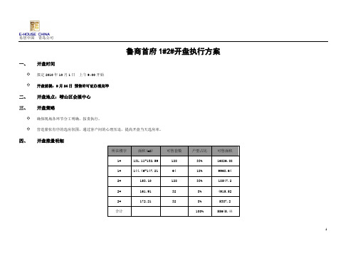 大型中高端项目开盘方案.
