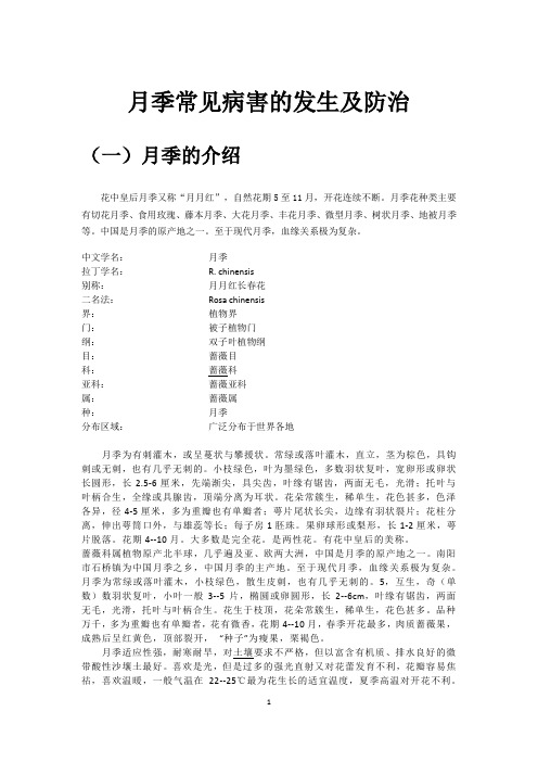 月季常见病害的发生及防治