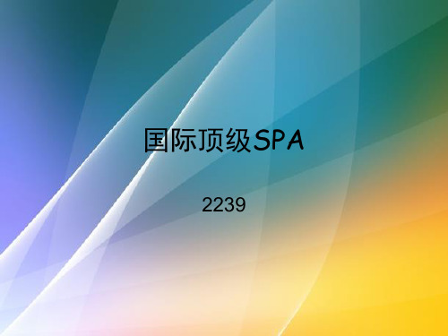 国际顶级SPA介绍3