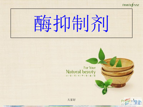 酶抑制剂 PPT