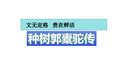 种树郭橐驼传 