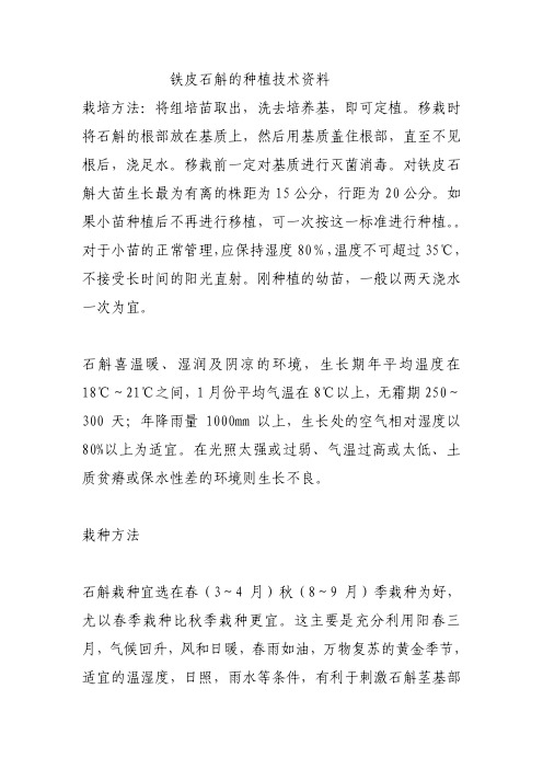 种植铁皮石斛技术及铁皮石斛种植方法