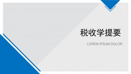 中国税制复习提要