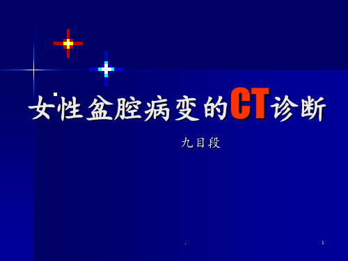 女性盆腔病变的CT诊断(2)PPT课件