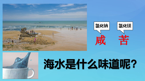 海水的盐度 PPT(教学课件)