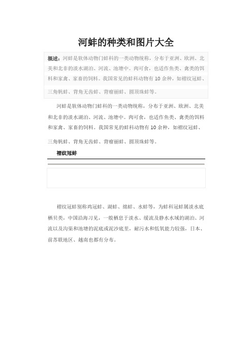 河蚌的种类和图片大全