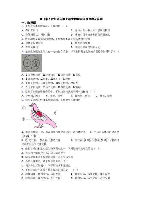 厦门市人教版八年级上册生物期末考试试卷及答案