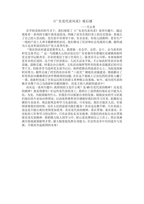党代表风采系列片观后感