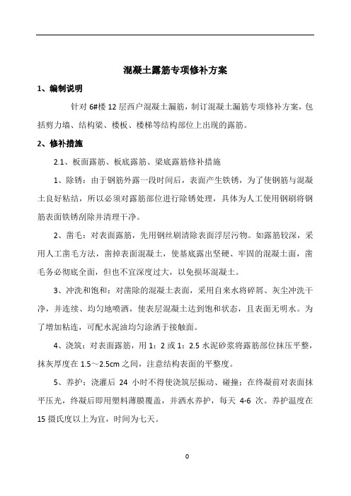 混凝土结构露筋专项修补方案