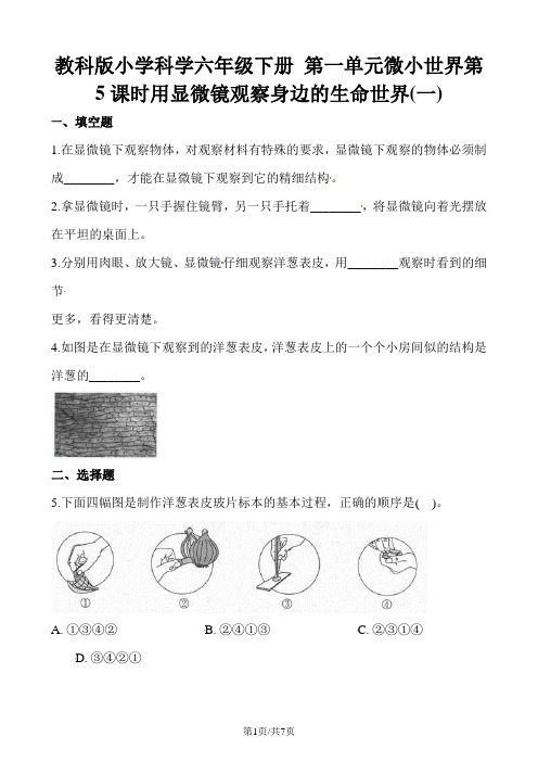 六年级下册科学一课一练第一单元微小世界第5课时用显微镜观察身边的生命世界∣教科版