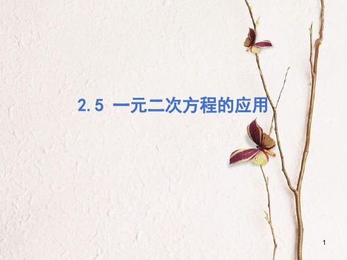 九年级数学上册 第2章 一元二次方程 2.5 一元二次方程的应用课件 (新版)湘教版.pptx