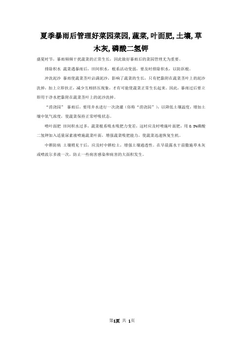 夏季暴雨后管理好菜园菜园,蔬菜,叶面肥,土壤,草木灰,磷酸二氢钾