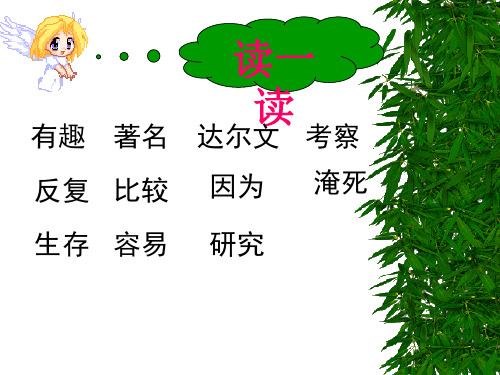 苏教版二年级语文上册《有趣的发现》课件