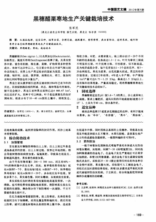 黑穗醋栗寒地生产关键栽培技术