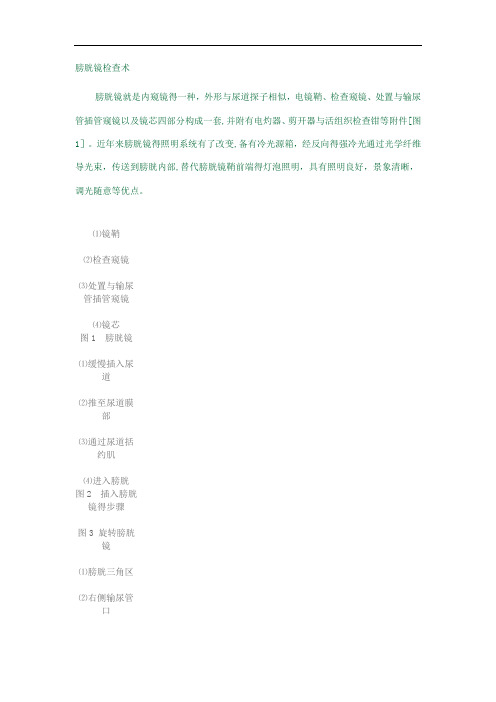 膀胱镜检查术附图