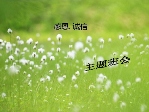 感恩.诚信主题班会ppt课件