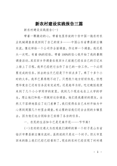 新农村建设实践报告三篇