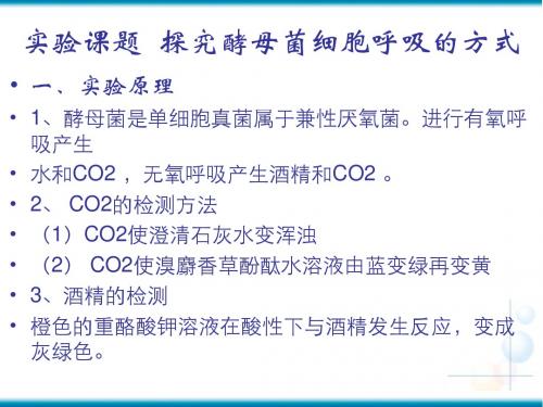 探究酵母菌的呼吸方式实验