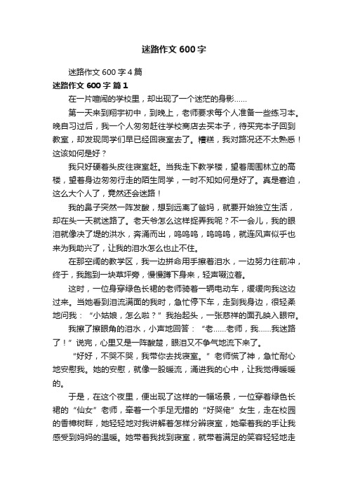 迷路作文600字4篇
