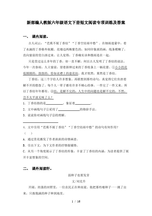 新部编人教版六年级语文下册短文阅读专项训练及答案