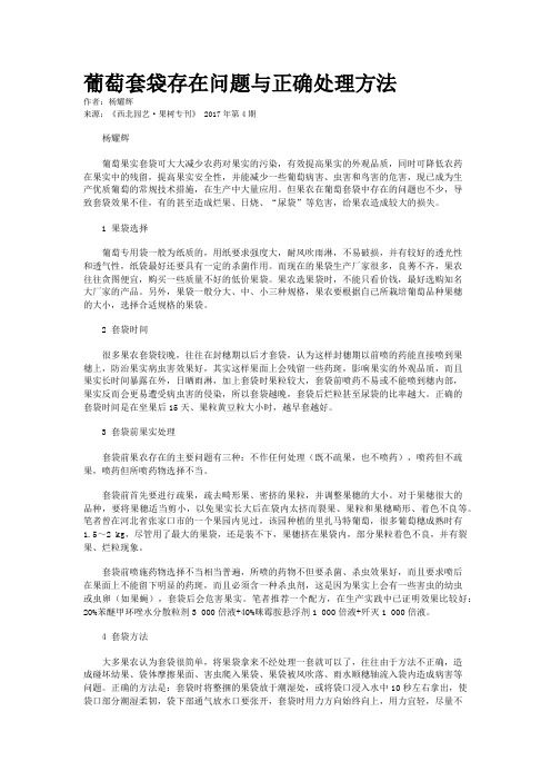 葡萄套袋存在问题与正确处理方法
