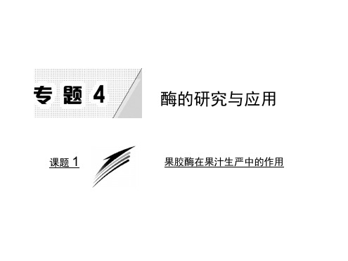 2018-2019学年高中生物(人教版选修1)课件：专题4课题1果胶酶在果汁生产中的作用