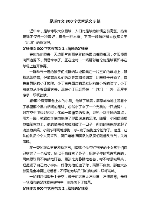 足球作文800字优秀范文5篇