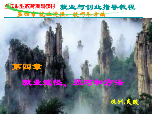 就业与创业指导教程第四章  求职途径、技巧和方法