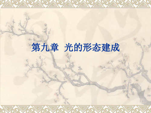 《植物生理学》课件 第九章  光的形态建