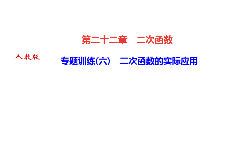 人教版九年级数学上册专题训练(六) 二次函数的实际应用