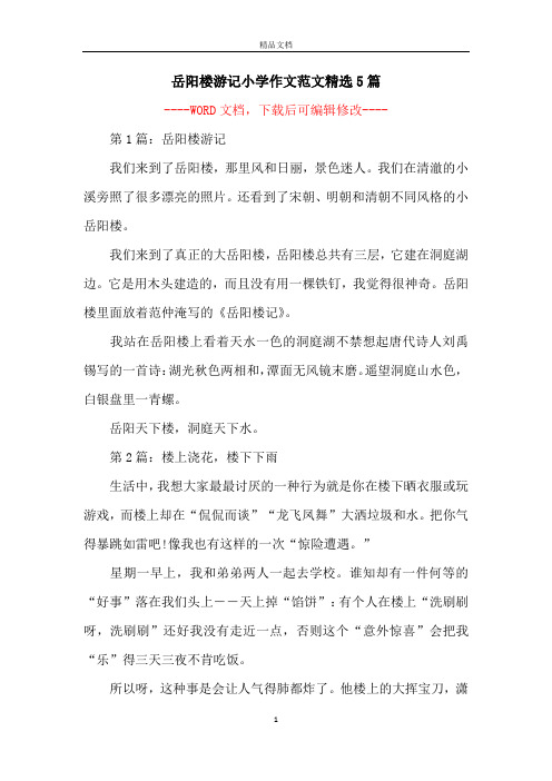 岳阳楼游记小学作文范文精选5篇