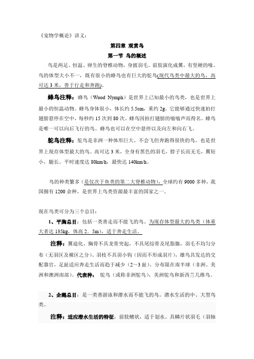 宠物学概论--鸟类讲义