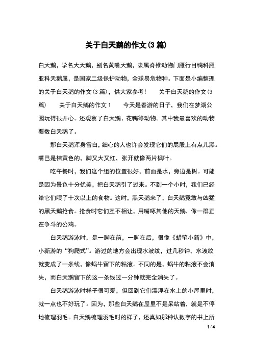 关于白天鹅的作文(3篇)