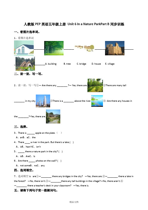 人教版PEP英语五年级上册Unit6InaNatureParkPartB同步训练.doc