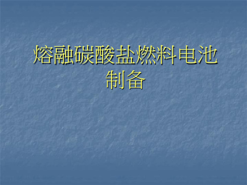 07《新能源材料》06熔融碳酸盐燃料电池