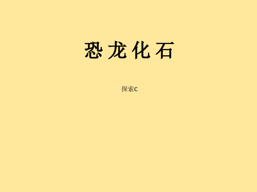 二年级上册美术课外探索C班课件-恐龙化石(共15张PPT)-全国通用