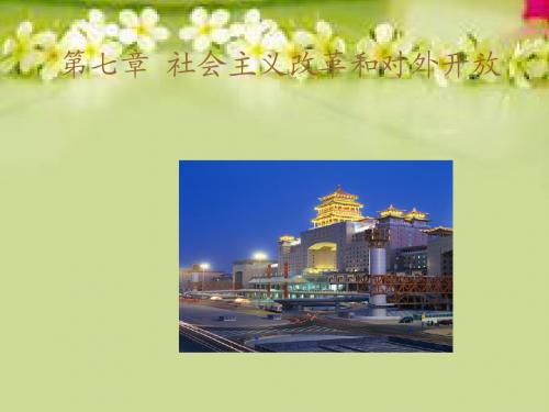 第七章社会主义改革和对外开放
