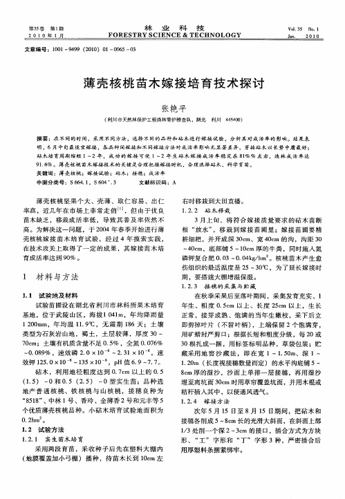 薄壳核桃苗木嫁接培育技术探讨