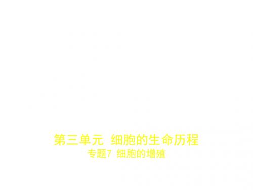2018年高考生物(课标Ⅱ专用)复习专题测试课件专题7 细胞的增殖 (共45张PPT)