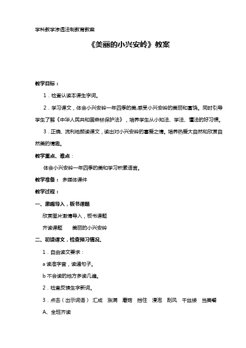 《美丽的小兴安岭》教案