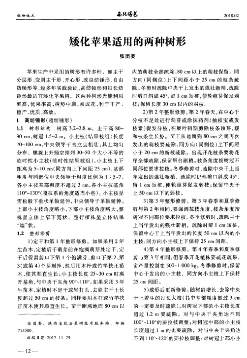 矮化苹果适用的两种树形