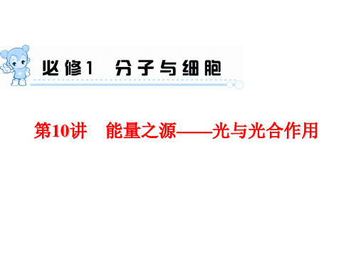 2015届《学海导航》高三生物一轮总复习配套课件：第10讲 能量之源—光与光合作用