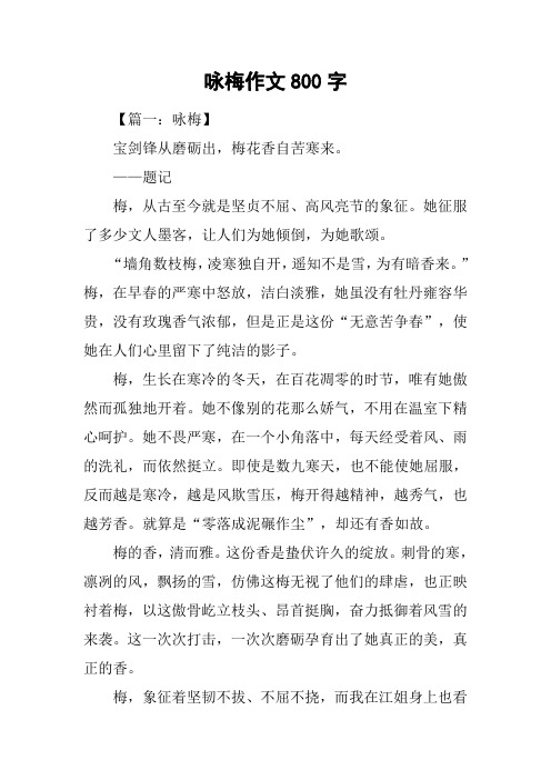 咏梅作文800字