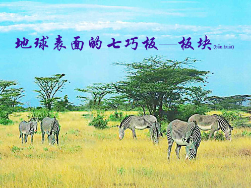 七年级科学下册地球表面的七巧板板块