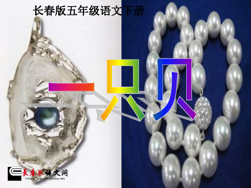 长春版语文五年级下册《一只贝》PPT教学课件