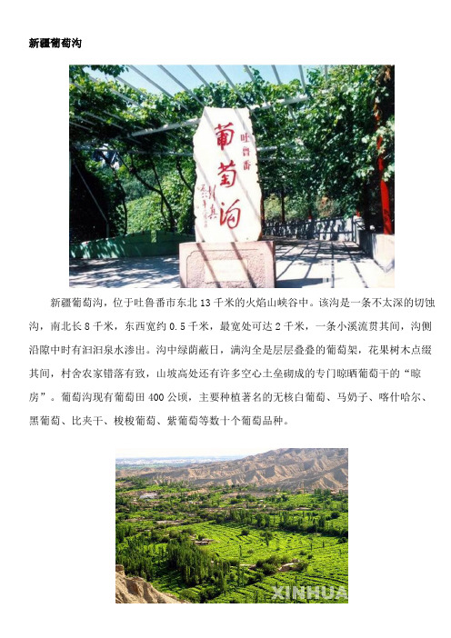 葡萄沟资料