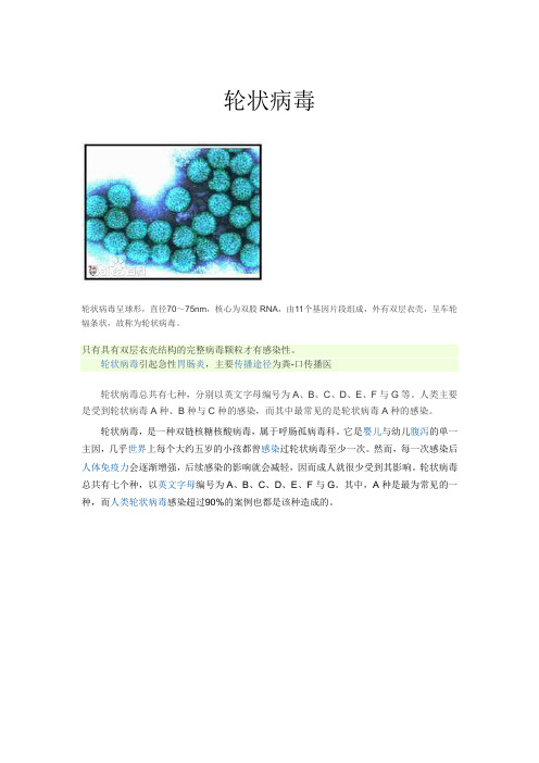 轮状病毒