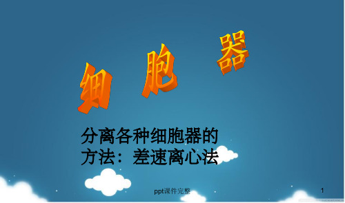 细胞器知识点总结ppt课件