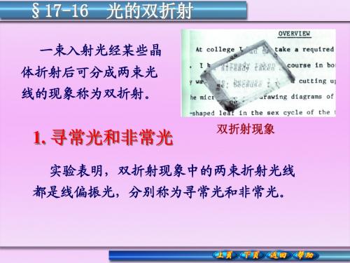 第十七章波动光学